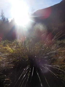 Sun, mountain an grass Stock Photos