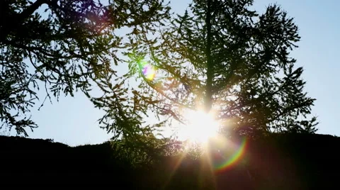 Sun, Movement of the sun and rays Stock Footage 45465702