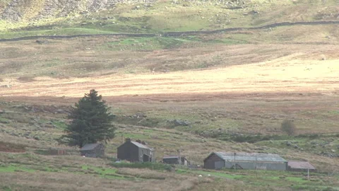 Sun moves through a Welsh valley with farm buildings in foreground Vidéo 141518858