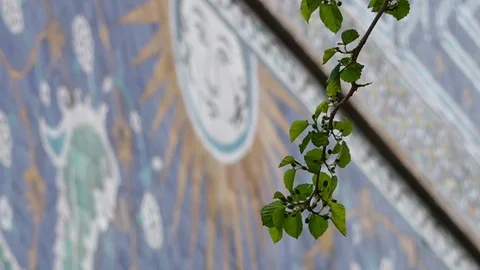 Sun Mural on Wall Stock Footage 106251887