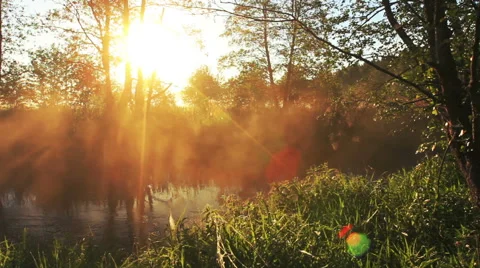 Sun in nature Vídeos de archivo 51236632