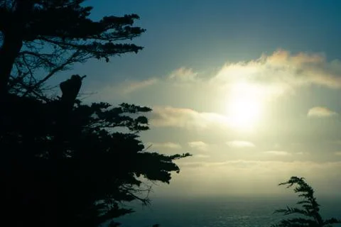 Sun occluded by trees, breaks through the clouds Foto stock