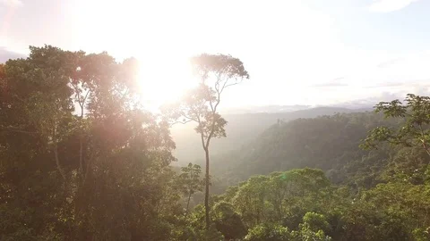 Sun Over the Amazon Basin Stock Footage 74357987
