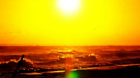 Sun over Beach Stock Footage