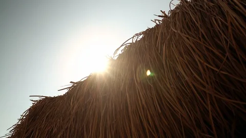 Sun over beach umbrella 動画素材 126118482