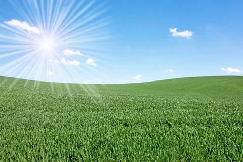 Sun over field Stock Photos