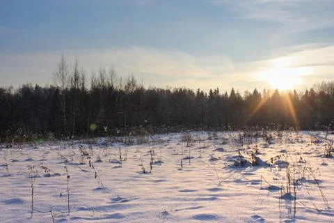 The sun is over the forest. Photos