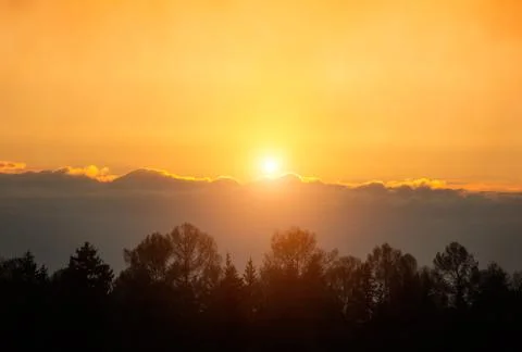 Sun over the forest Stock Photos