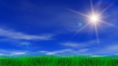 Sun Over Green Grass and Blue Sky Video stock 301025657