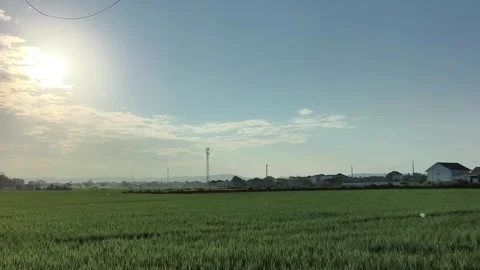 Sun Over Green Rice Field Rural Village Landscape Stock Footage 340489144