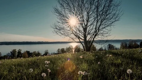 Sun over the lake 스톡 동영상 75608587