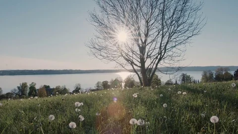 Sun over the lake 스톡 동영상 75715391