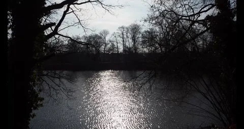 Sun over lake Video stock 304516878