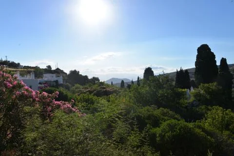 Sun over meadow 写真素材