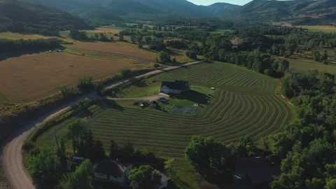 Sun over mountain ridges aerial. Pine forest at mount village. Autumn nobody Stock Footage 255864166