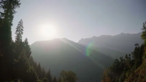 The sun over the mountains. Coniferous forest. Himalayas India. 動画素材 168983735