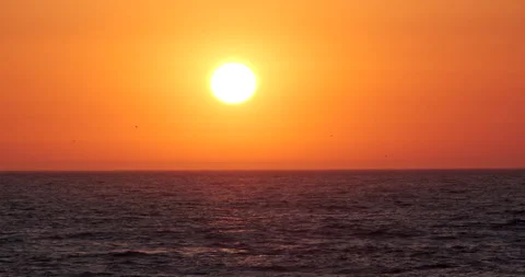 Sun over the ocean at sunset with birds in silhouette Stock Footage 135043626