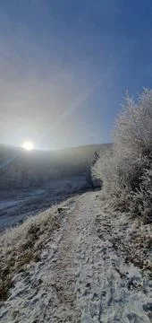 Sun over path through a hoarse frost covered forest, winter hiking in Alsace Stock Photos