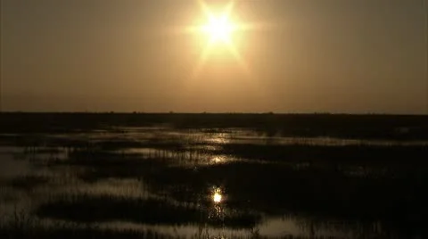 Sun over the swamp Stock Footage 12761451