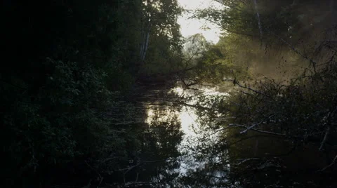 Sun over the taiga river Stock Footage 69004404