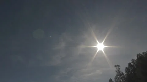 Sun Over Trees Video stock 39387101