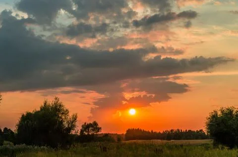 Sun over the trees Stock Photos