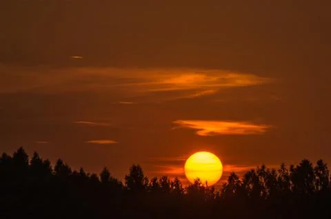 Sun over the trees Stock Photos