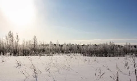 The sun is over the winter forest. Photos