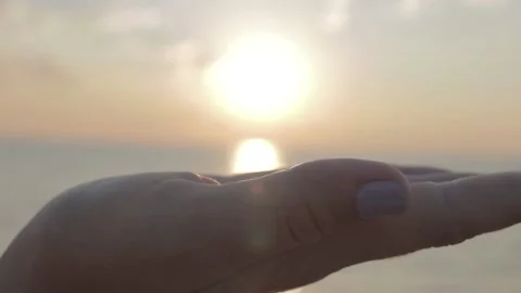 Sun on the palm Stock Footage 208659283