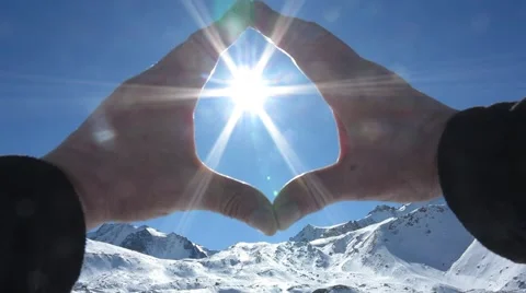 Sun in the Palms Stock Footage 60063491