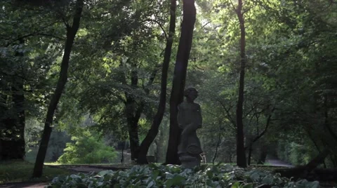 Sun in the park Video stock 67625947