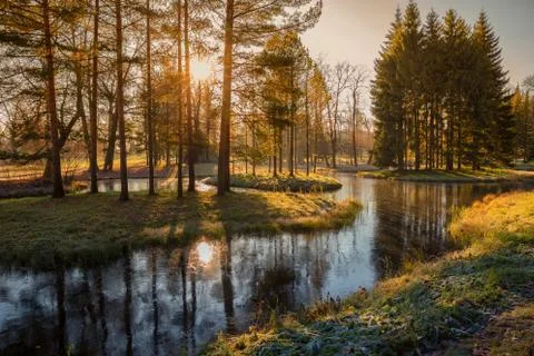 Sun in the park Stock Photos