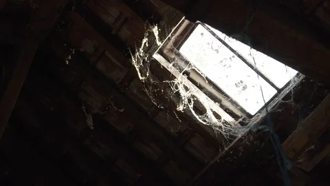 Sun passing through an old window full of cobweb in an attic Stock Footage 102155686