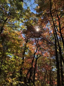 Sun peaking through Stock Photos
