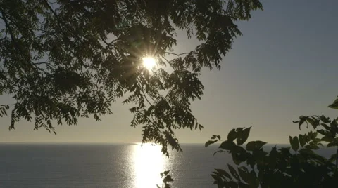 Sun Peaking Through Tree Leafs over Lake 库存影片 42906293