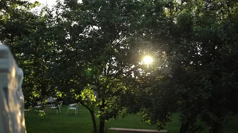The sun peeking through the leaves of apple 스톡 동영상 62751818