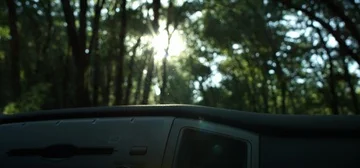 Sun Peeking Through Trees 스톡 동영상 85818866