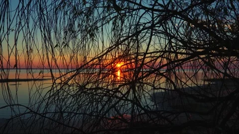 Sun peeks through the hanging tree branches at red and yellow sunset Vidéo 249475812