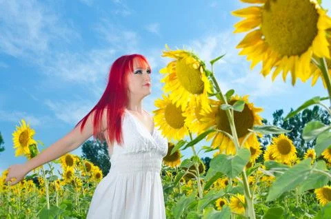 The sun is up Stock Photos