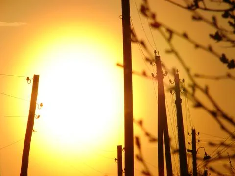 Sun. Stock Photos