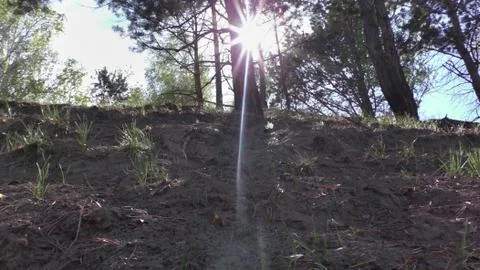 Up to the sun Foto stock