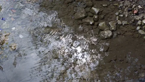 The sun plays in the reflection of water. Stock Footage 130257133