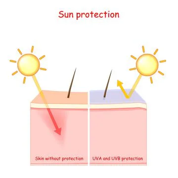 Sun protection Stock Illustration