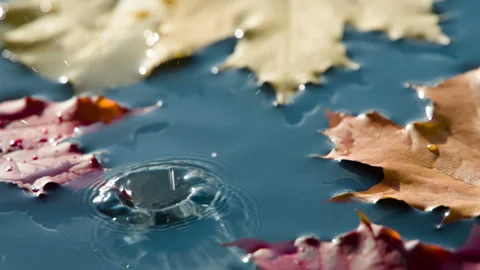Sun in a Puddle after a Rain HD Stock Footage 346082093