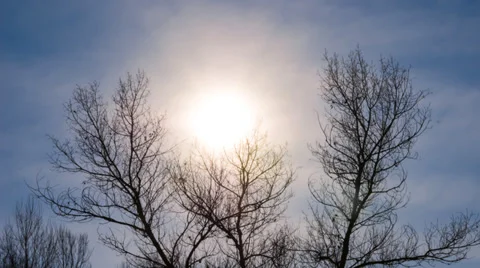 Sun pushing through a trees Stock Footage 37070664
