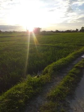 Sun raising Foto stock