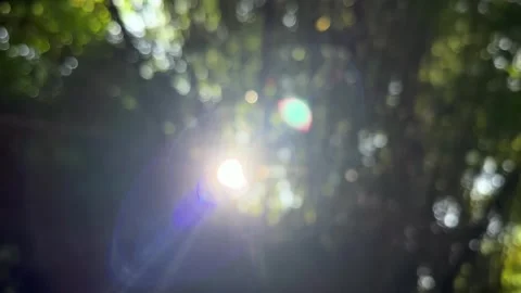 Sun Ray And Flare In The Forest, Abstract Crystal Ball At Phulangka Stock Footage 304576420