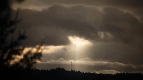 Sun ray breaking through golden sunrise clouds above trees silhouette Stock Footage 337674945