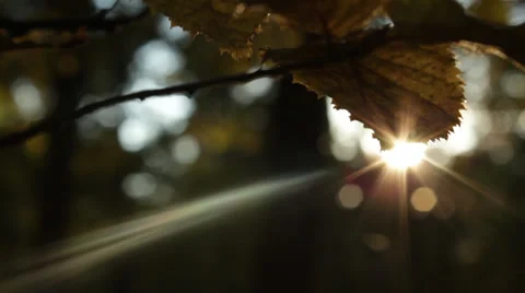 Sun Rays 1 Stock Footage 35160932