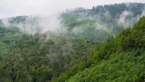 Sun rays and rain clouds over the mountain forest Video stock 156456783